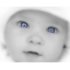 zinzid