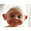 Darina